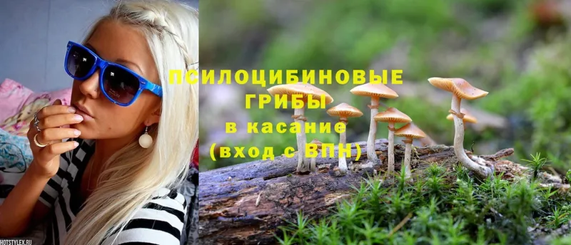 Галлюциногенные грибы GOLDEN TEACHER  купить наркотик  Миасс 